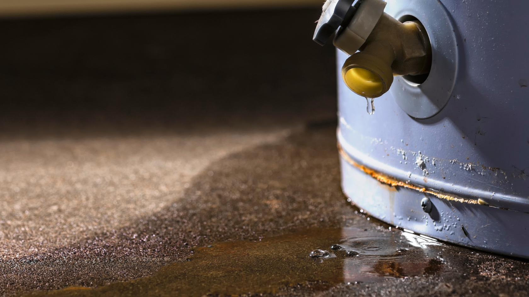 A close up of a can of soda on a table